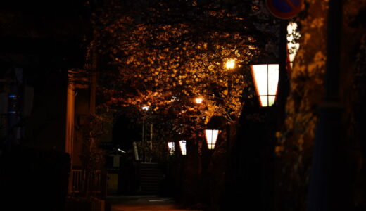 金沢旅行の思い出《2日目》：絵葉書を送り、花咲く茶屋街を歩いて、魚料理に舌鼓を打つ、風流な日