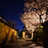金沢旅行の思い出《3日目》：満開の桜が咲く夜の長町武家屋敷跡を歩く