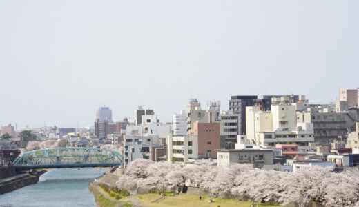 金沢旅行の思い出《4日目》：海を見て、満開の桜を眺める。お土産は可愛い「加賀八幡起上りもなか」