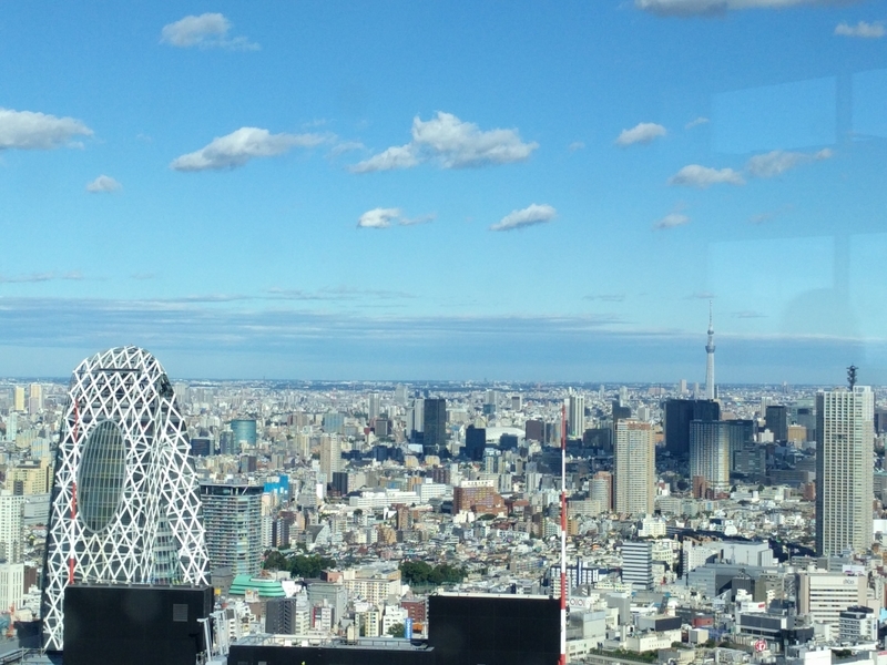 東京都庁の展望台からの風景