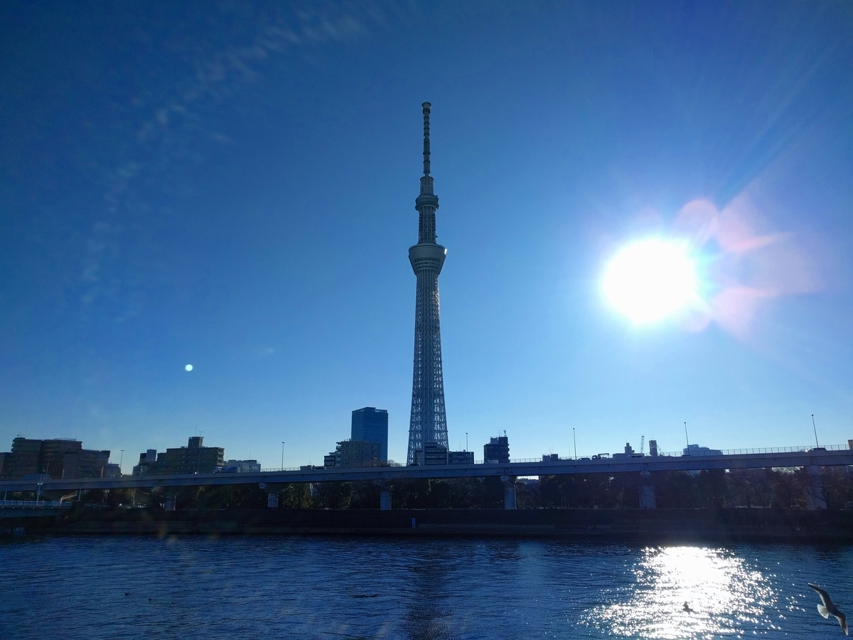 東京観光写真